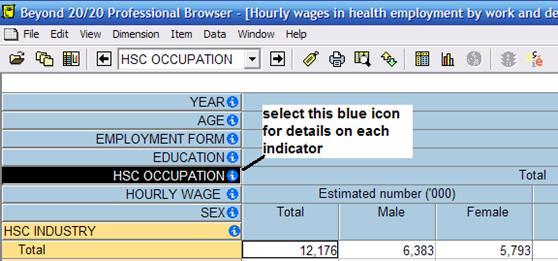 example of Beyond 20/20 dimension summaries in the multidimensional tables, blue information icon
