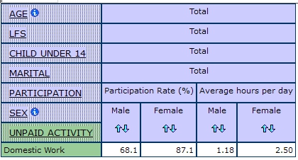 table displaying the participatio nrate and average hours per day spent on Unpaid Domestic Work by sex